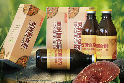 靈芝菌合劑功能與主治